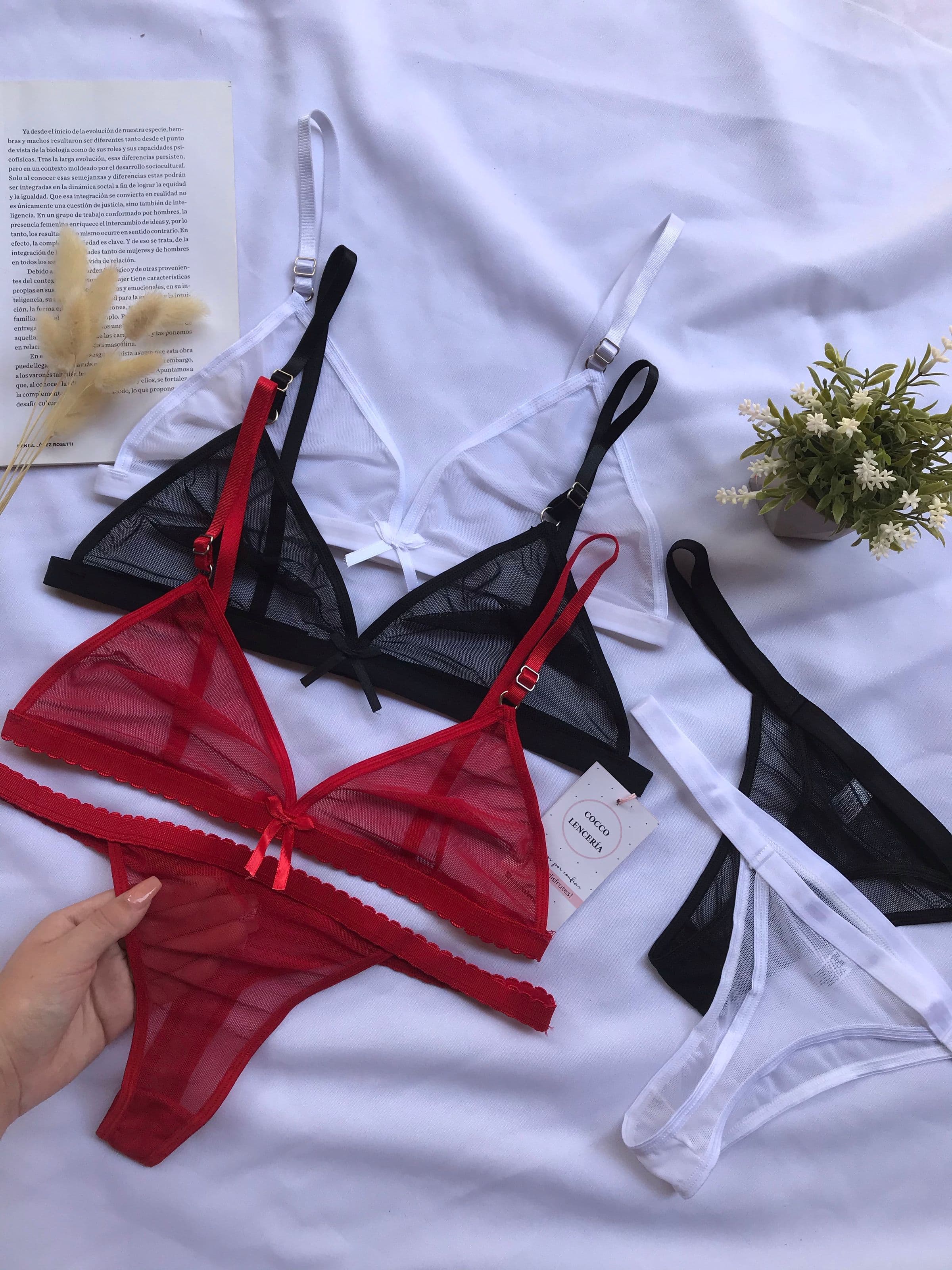 Noir Mesh Bralette Set, black / red